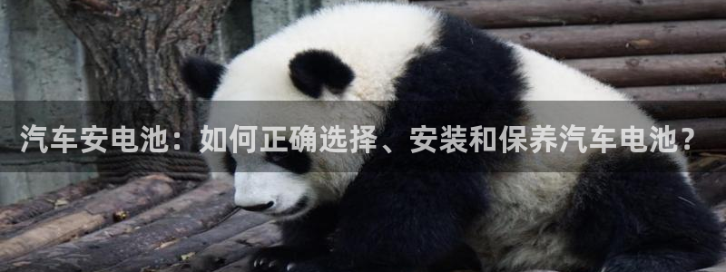 优发国际首页官网
