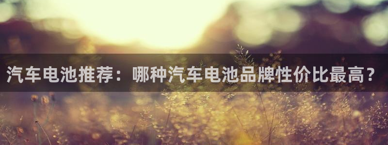 优发国际官方网平台电话