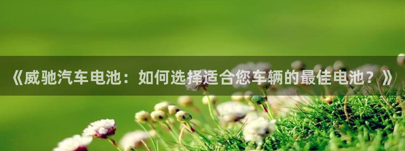 优发国际官网入口app下载苹果