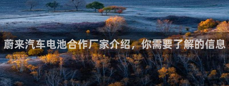 优发国际手机版客户端下载