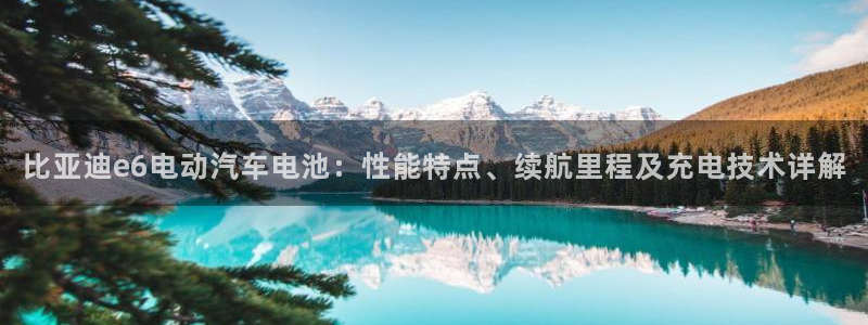 优发国际是大平台吗