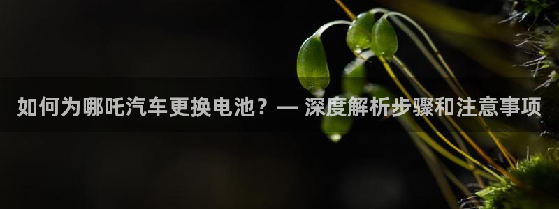 优发国际官网网站首页