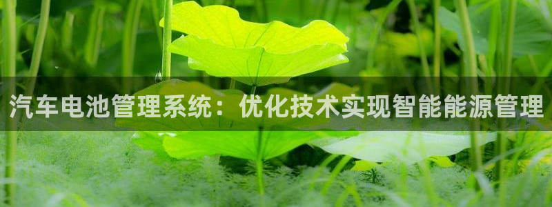 优发国际是合法的吗