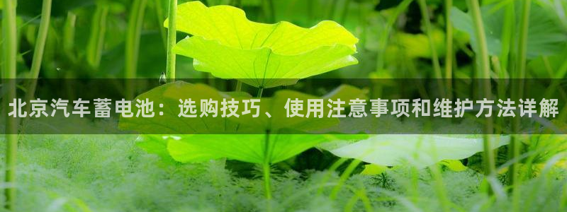 优发国际手机客户端官网首页