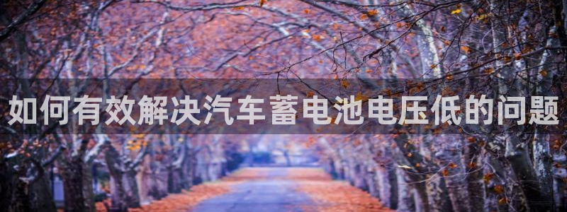 优发国际官方网手机版下载安装