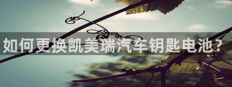 优发娱乐pc版官网