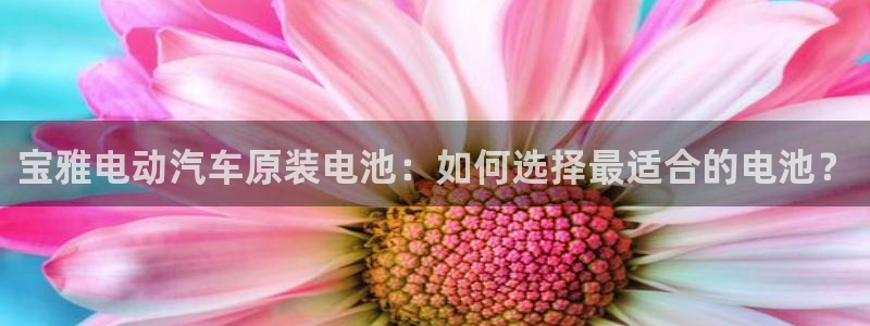 优发国际的官网是什么