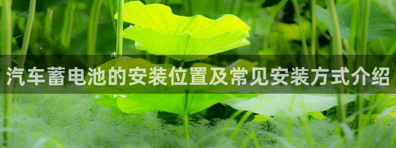 优发国际是合法的吗
