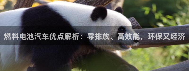 优发国际手机app下载安装最新版