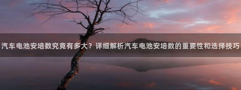 优发国际平台u8是什么软件
