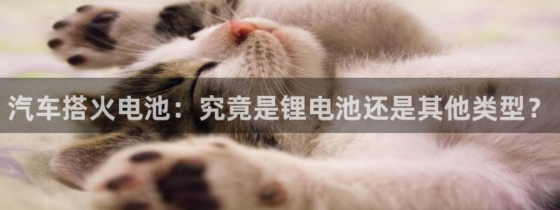 优发国际官网,首页