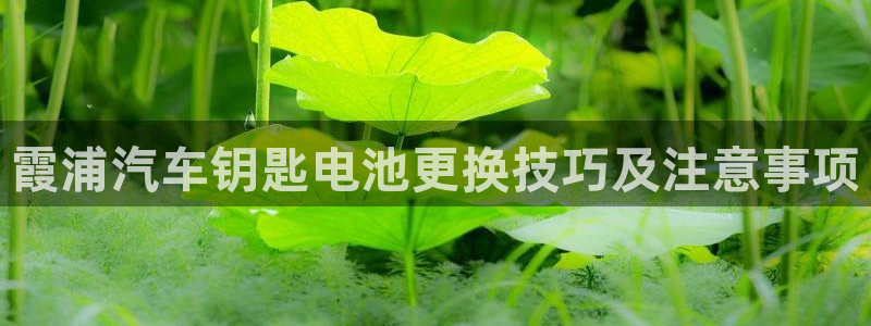 优发国际在哪里下载