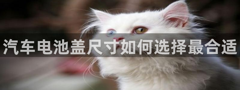 优发国际亚洲平台