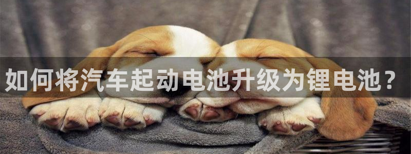 优发国际网官网17w8