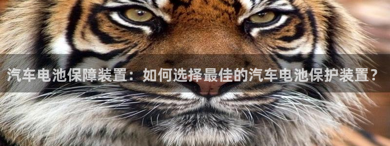 优发国际-触即发