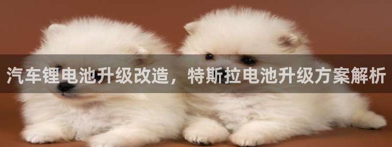 优发国际手机客户端下载安装