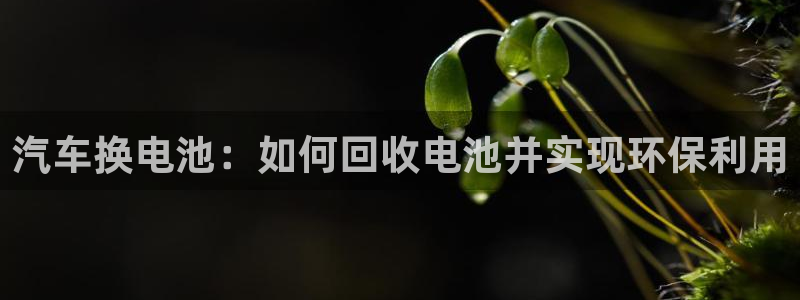 优发国际游戏n