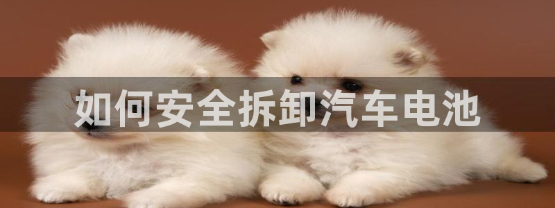 优发国际手机版客户端