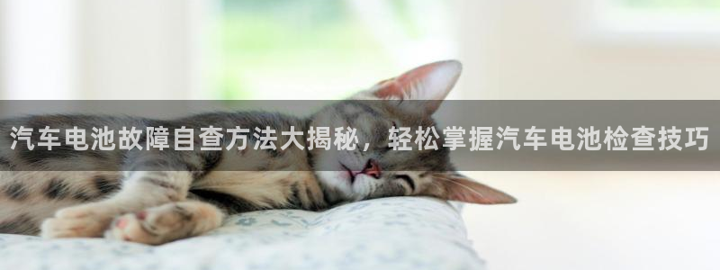 优发国际线上娱官网