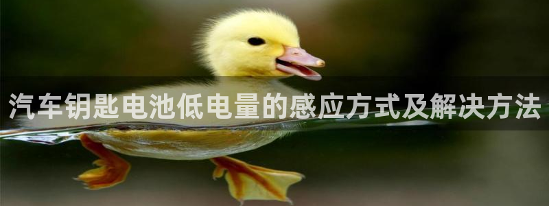 优发国际的官网是正品吗