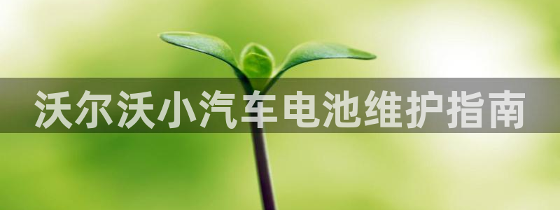 优发国际平台g8