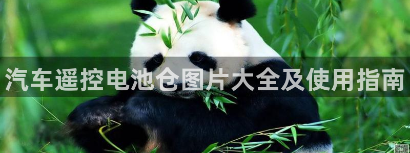 优发国际一触即发登陆