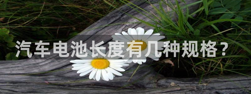 优发国际平台u8怎么样