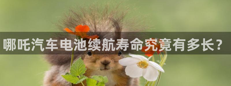 优发国际网官网17w80是什么