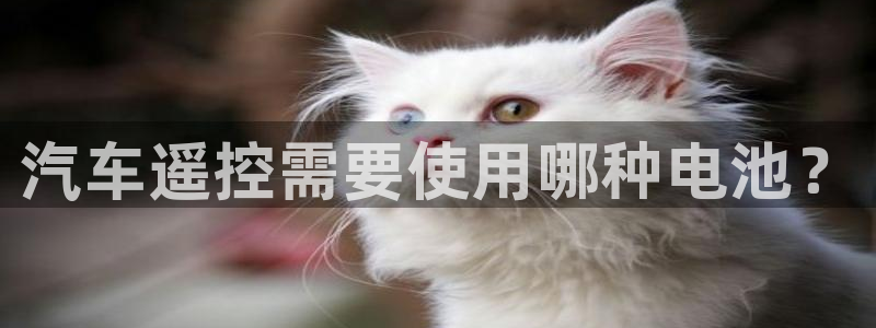 优发国际的官网是什么