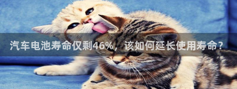 优发国际下载安装