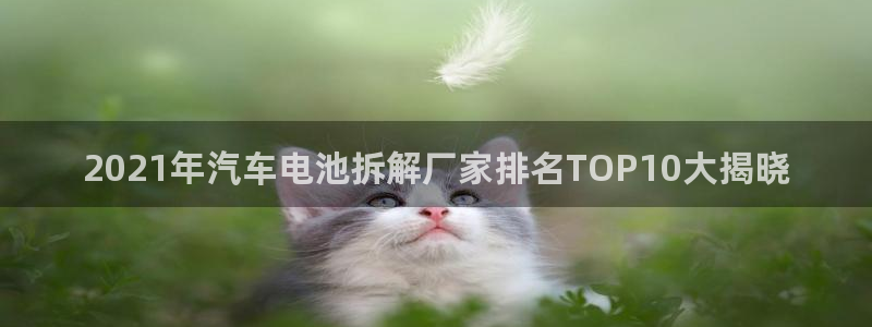 优发国际官网手机版下载