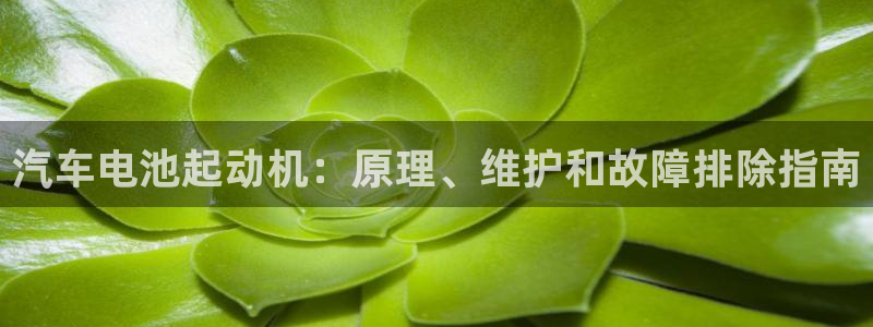 优发国际官方网平台电话