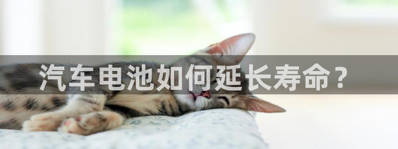 优发国际平台g8