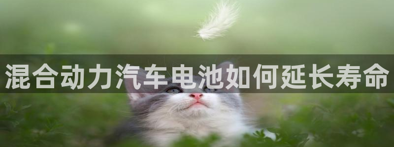 优发国际