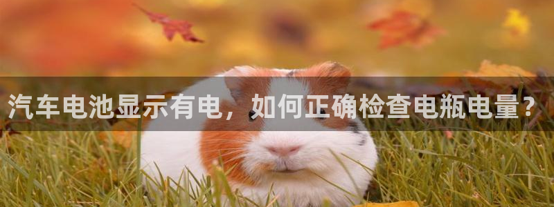 优发国际官网是多少号码