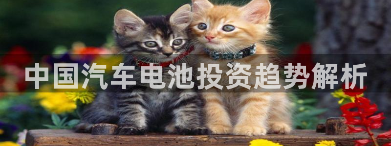 优发国际官网首页
