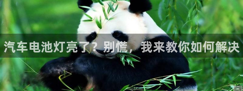 优发国际登陆u