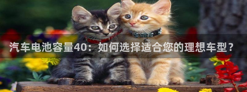 优发国际网页