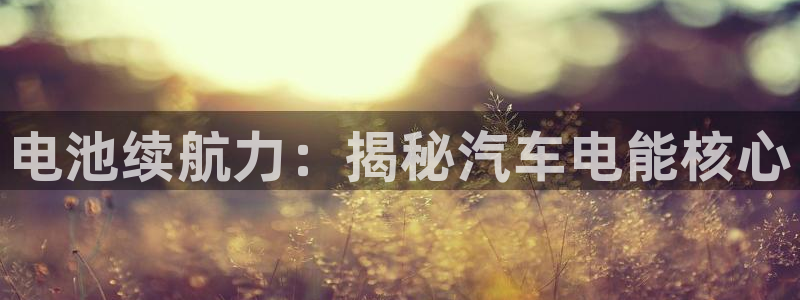 优发国际官网手机版下载安装
