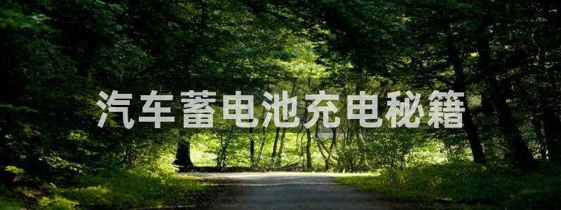 优发国际是什么