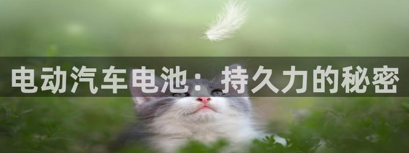 优发国际的网站是