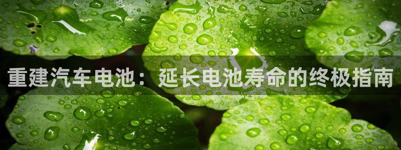优发国际顶级