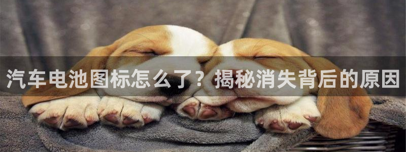 优发国际官网是多少号码