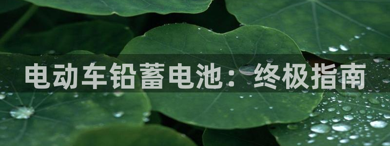 优发国际的官网是什么