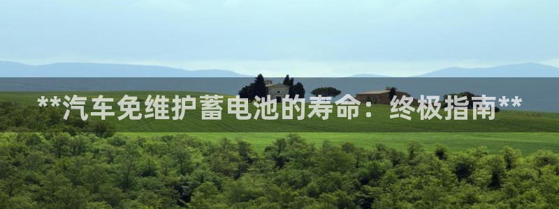 优发国际是大平台吗还是小平