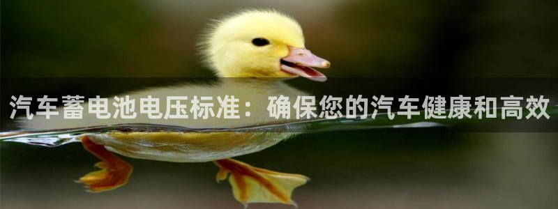 优发国际平台u8怎么样