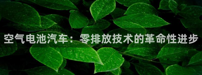 优发国际官网首页