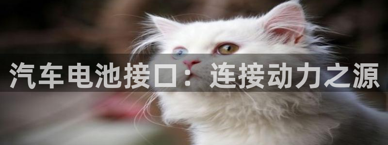 优发国际平台app下载安装