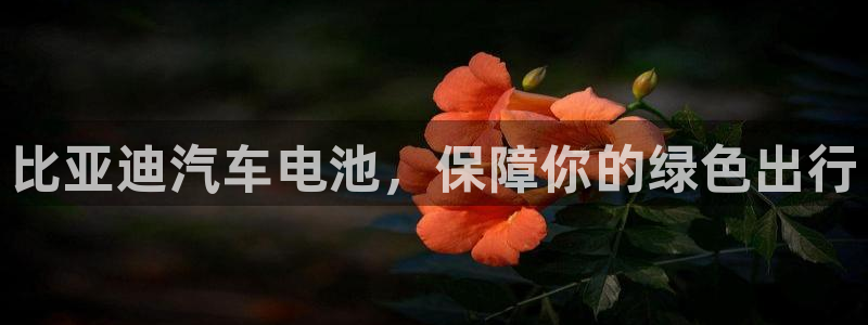 优发国际官网下载安装app