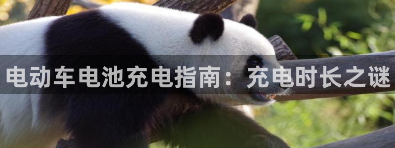 优发国际的官网是什么软件